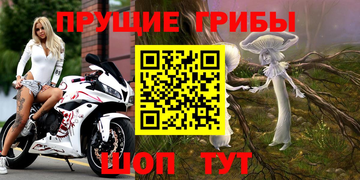 Галлюциногенные грибы Psilocybe Ессентуки