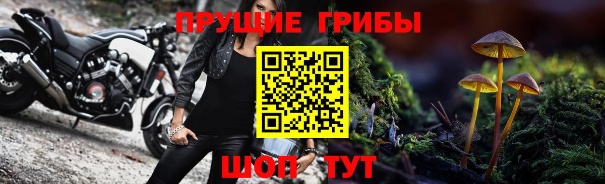 Ессентуки  купить  цена  Вход с VPN  Псилоцибиновые грибы Magic Shrooms 